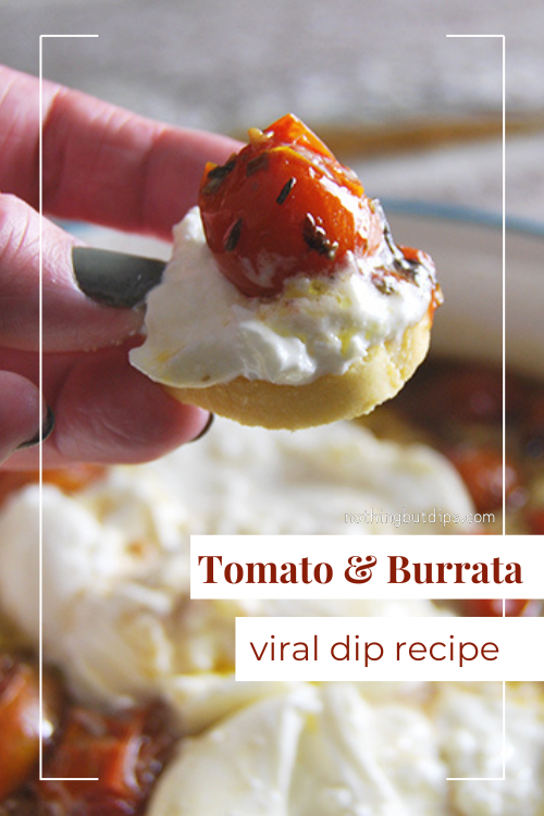 roasted tomato and burrata dip served on a cracker