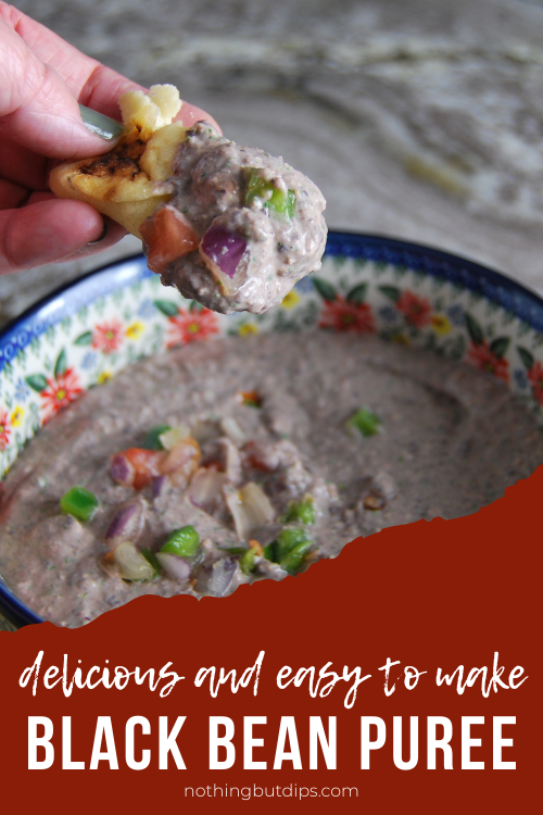 creamy black bean dip puree served on pita bread