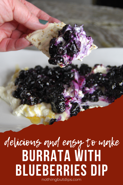 Tasty Burrata with Blueberries Appetizer Dip served on a cracker